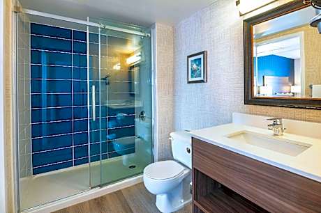 1 King Bed Suite Nonsmoking