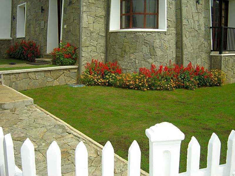 Villa de Roshe
