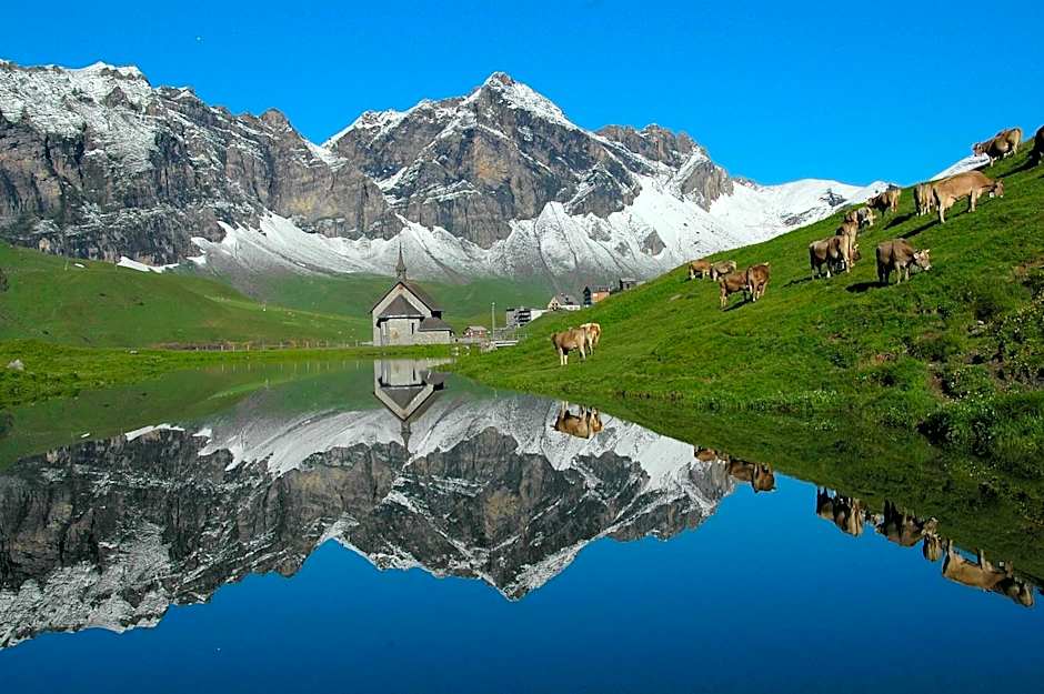 Frutt Mountain Resort