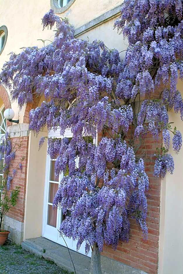 Villa Palagione Centro Interculturale