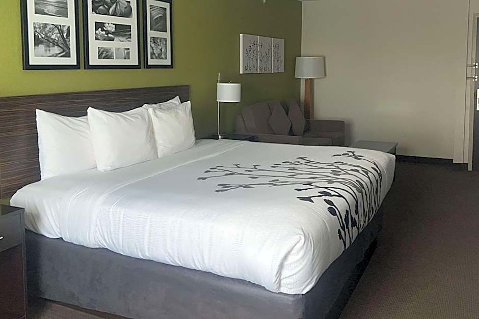 Sleep Inn & Suites Jourdanton - Pleasanton