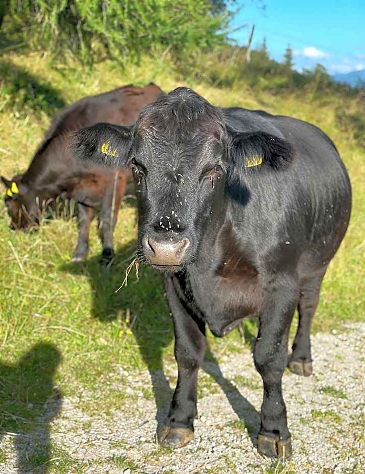 Naturhotel Lärchenhof