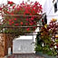 Lobo Inn Tulum