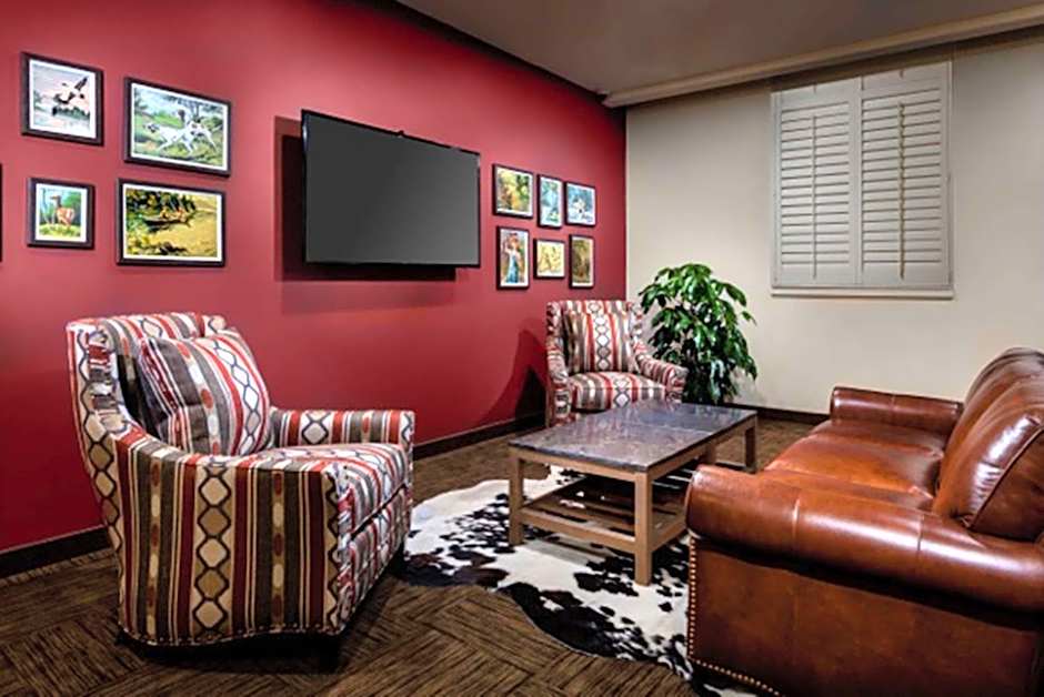 Tailwater Lodge Altmar Tapestry Collection by Hilton