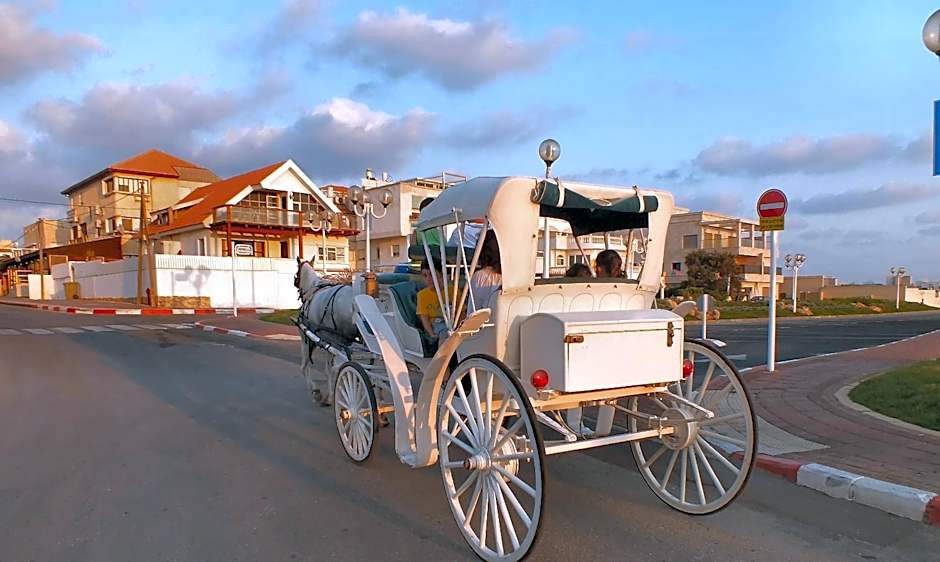 Amigo Hotel On The Beach