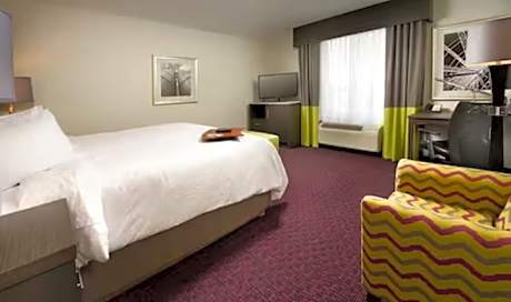 1 King Bed Nonsmoking