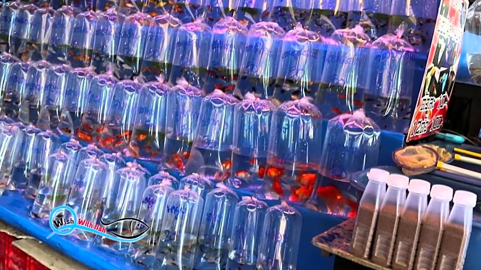 THE ALL 24 Luxury Residence