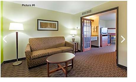 1 King Bed One-Bedroom Luxury Suite Non-Smoking