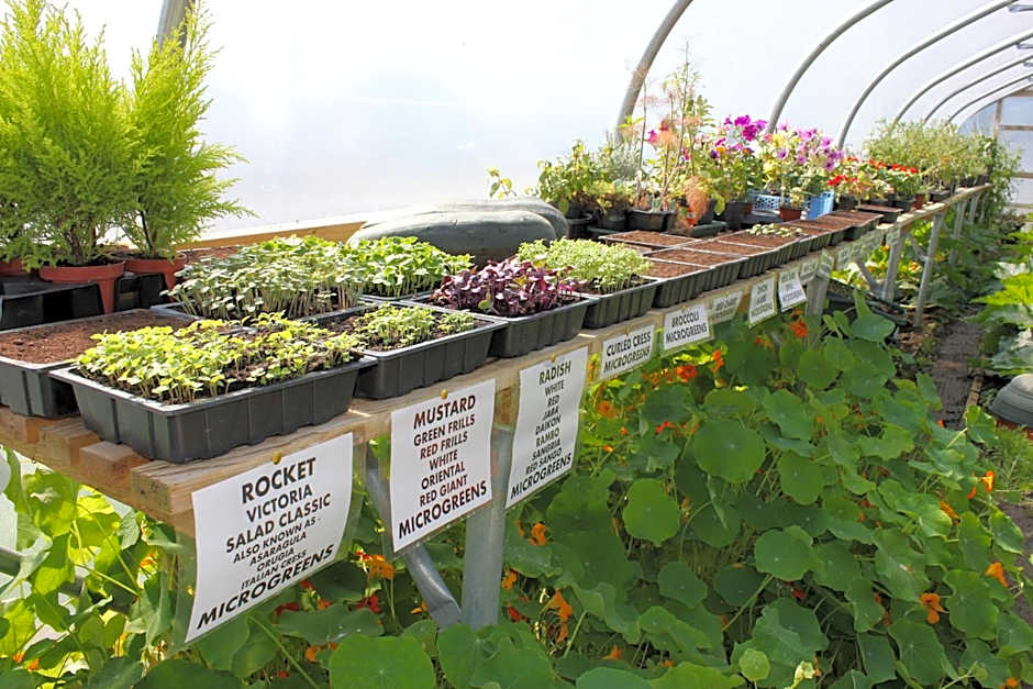 Lakeside Park Hotel & Spa