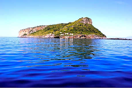 TEA Isola Dino - HOTEL & HOME - Praia a Mare