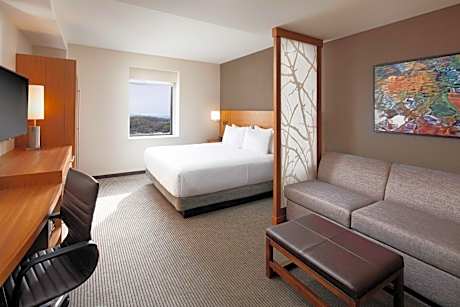 King Room with Sofa Bed and Accessible Tub