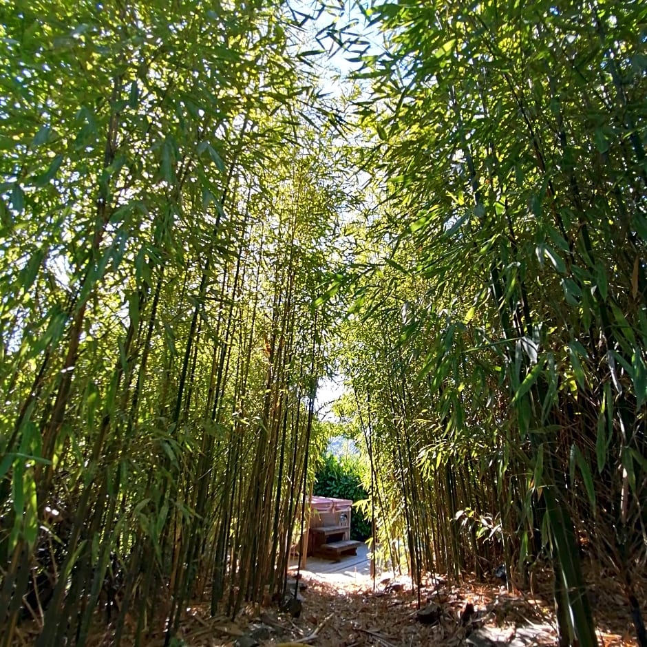 La magnanerie de camias