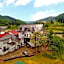 bellevue nishiura