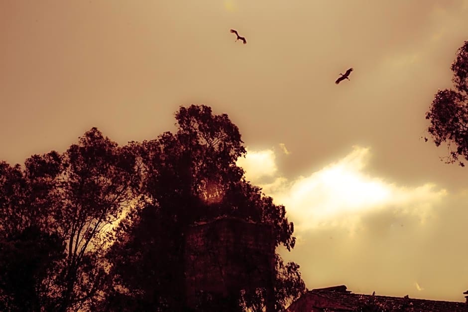 Lodge Monte Do Sobral