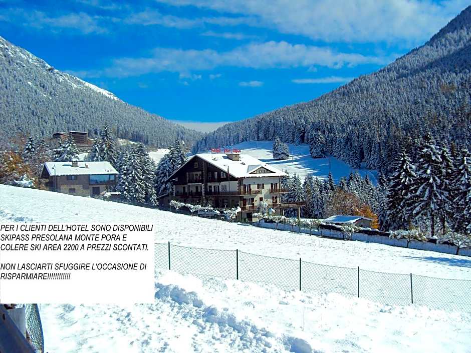 Hotel Des Alpes