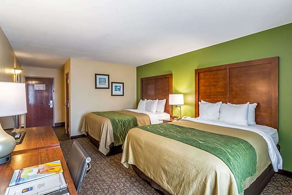 Photo 1 of 3 of 2 Queen Beds, Accessible