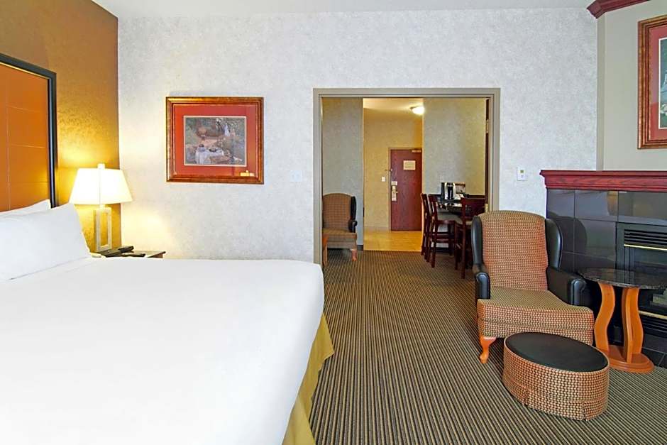Holiday Inn Express Calgary South By IHG