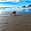 Seabird Lodge Fort Bragg