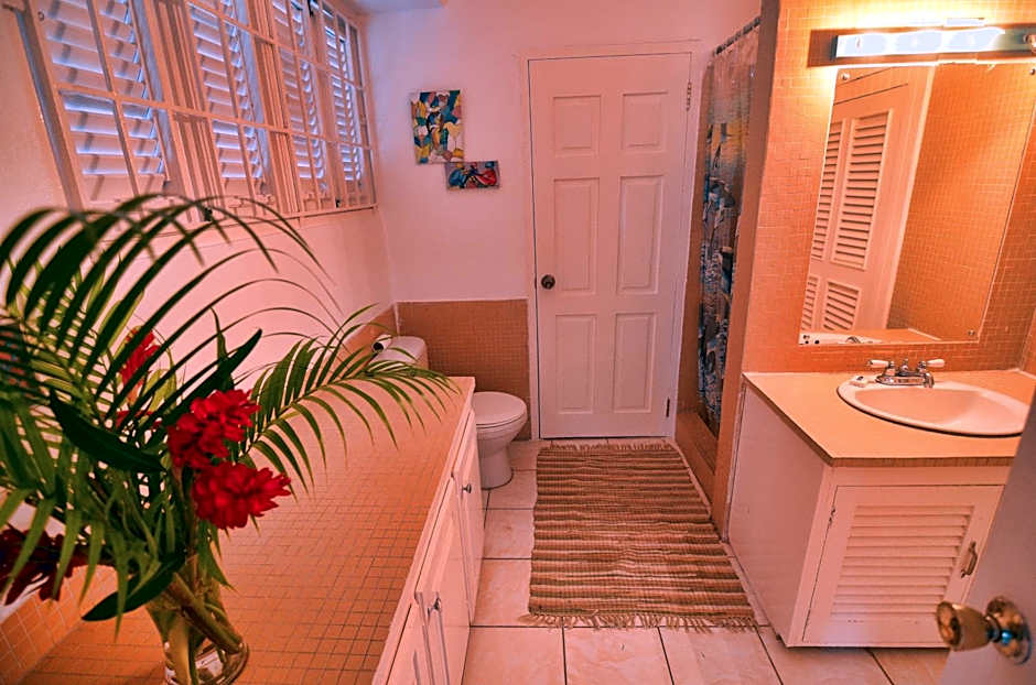 Moon San Villa at the Blue Lagoon