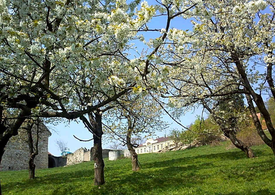 Pension Lenno we Wleniu