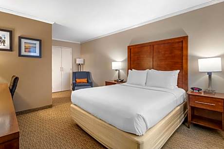 Standard Room, 1 King Bed with Sofa Bed, Non Smoking