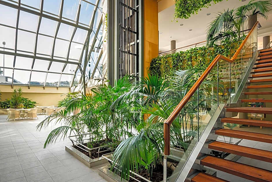 ALEGRIA Caprici Verd