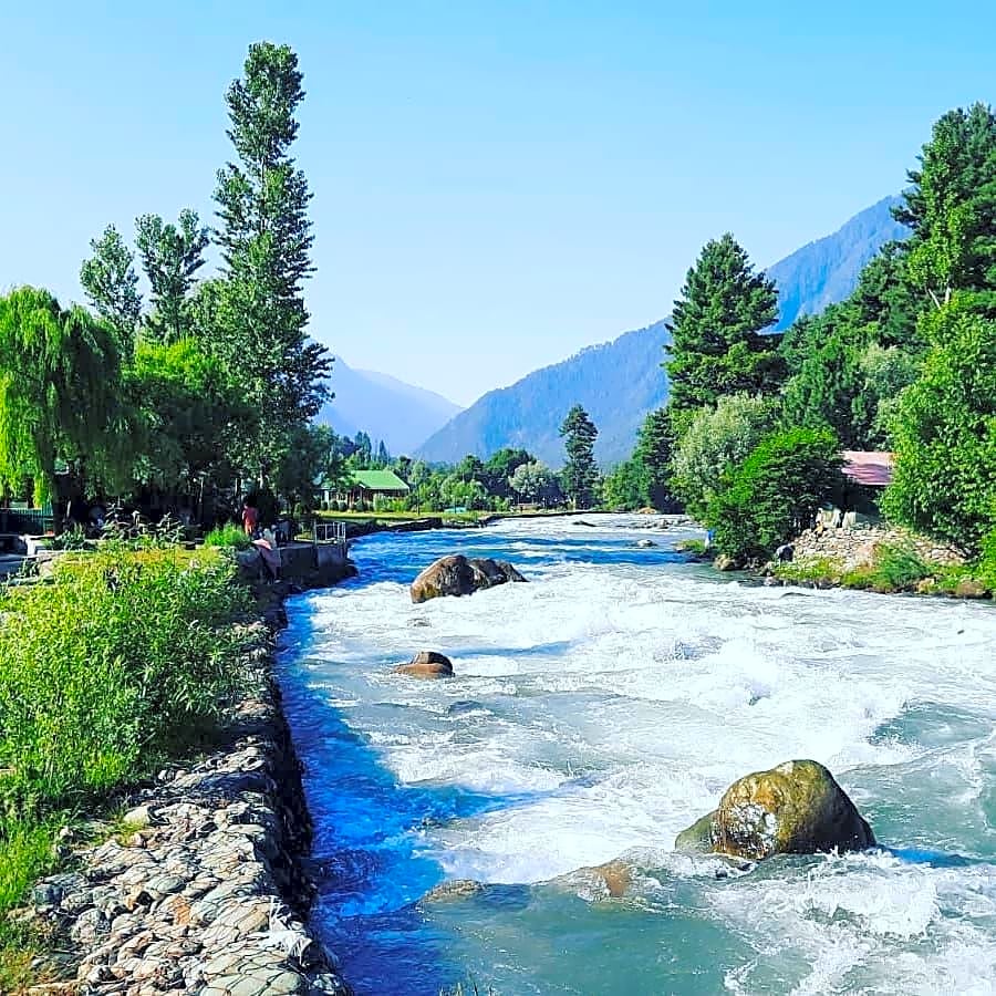 Paradise Guest House