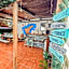 Arena Nest Hostel
