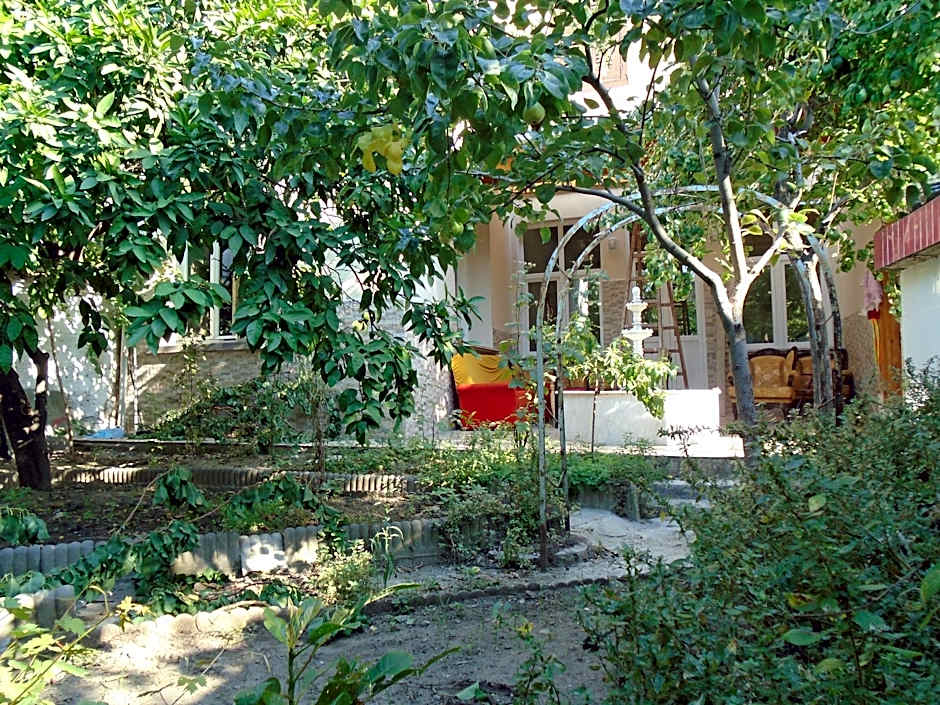 LOTUS GARDEN HOSTEL