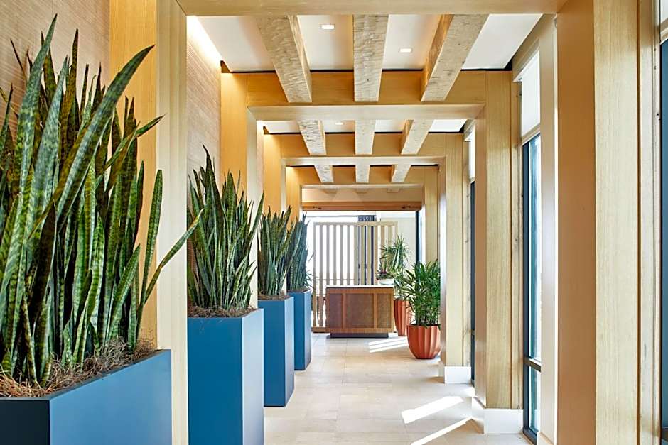 SpringHill Suites by Marriott Jacksonville Beach Oceanfront