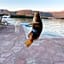Apart-hotel Villa Lav