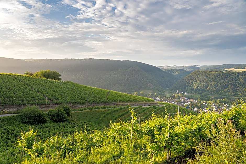 Hotel Moselblick