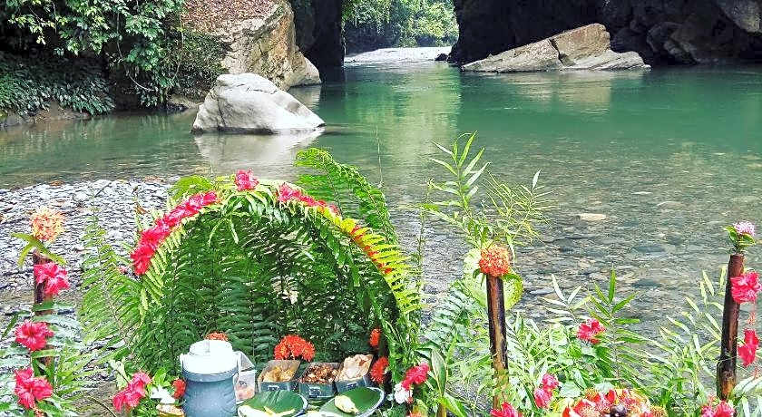 Green lodge tangkahan 