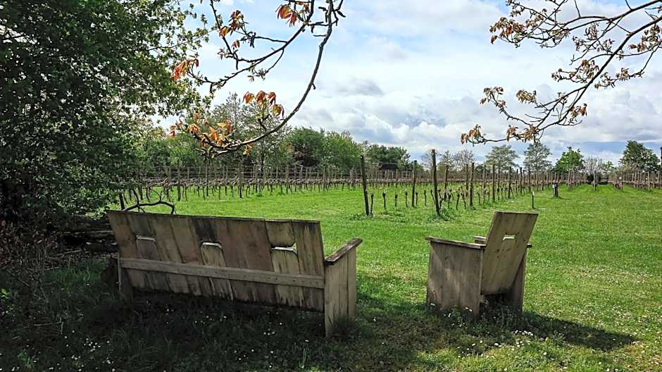 Camping Wijndomein Erve Wisselink