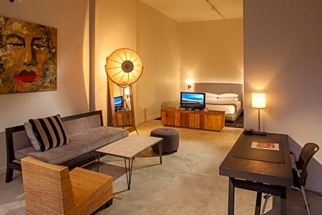 Studio with Terrace