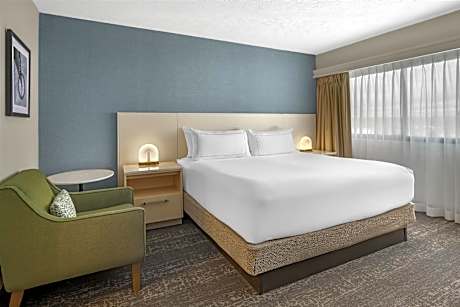 AMBASSADOR SUITE 1 KING BED