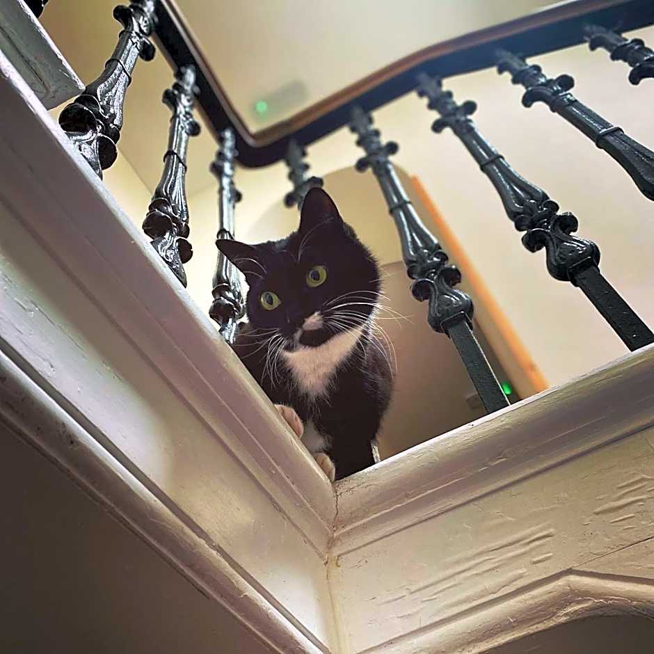 The Gordon Arms Restaurant with Rooms