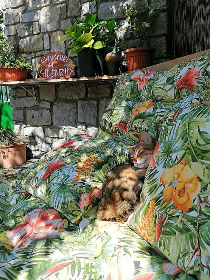 Perla del Levante Hostel