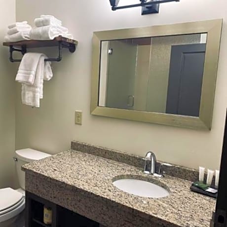 Executive Suite