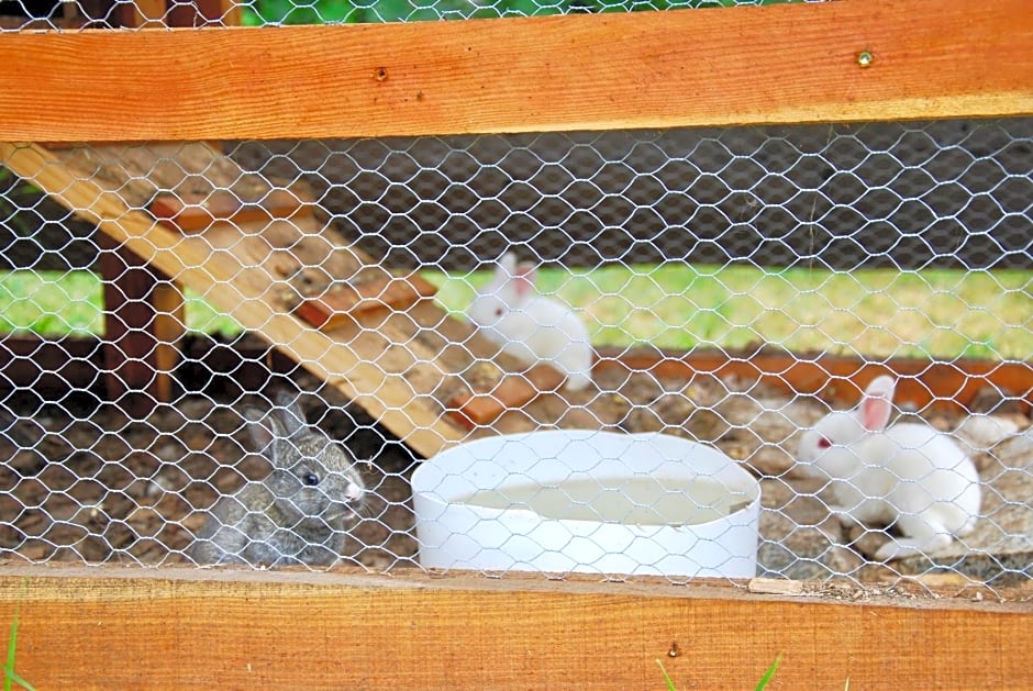 B&B dalla fattoria della Patty