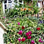 Santi Bhavana Bed & Breakfast