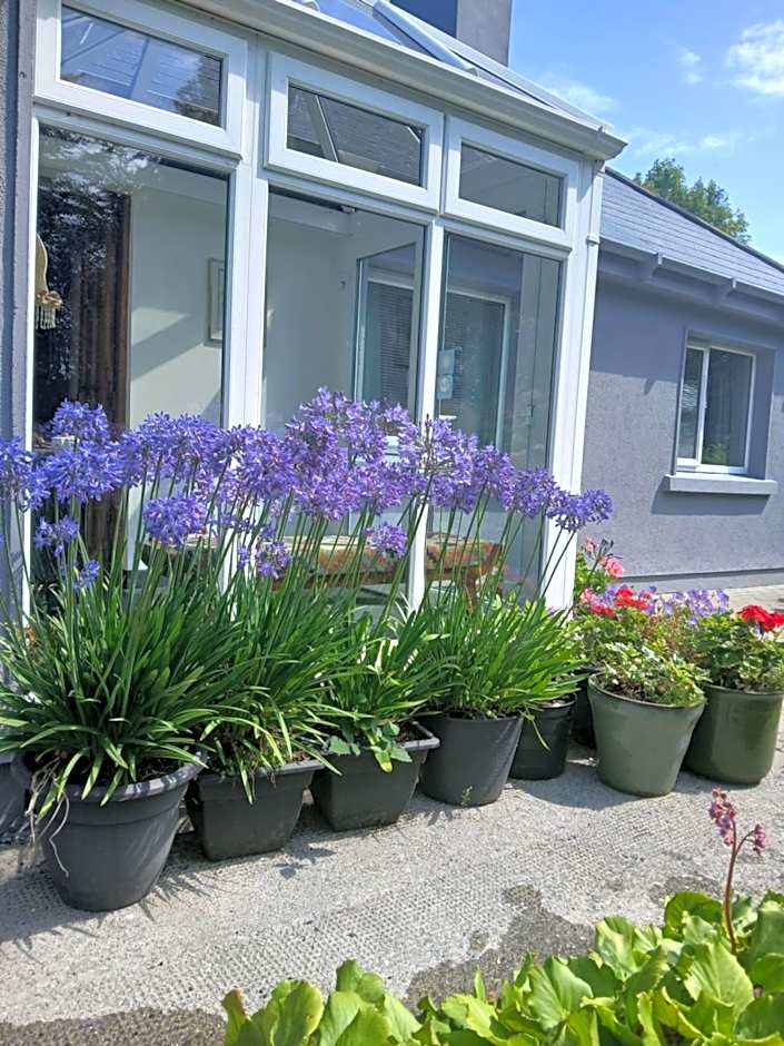 Conways B&B