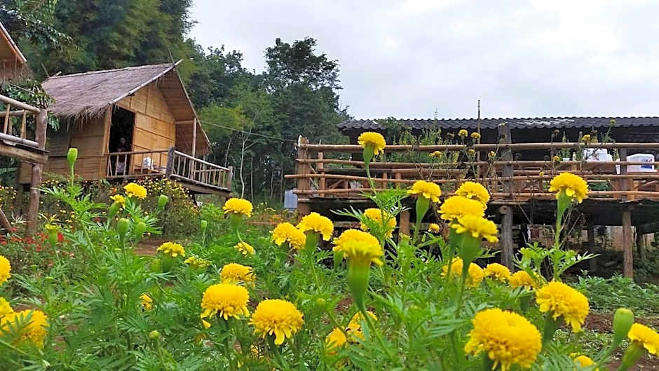 Baan AingDoi Homestay