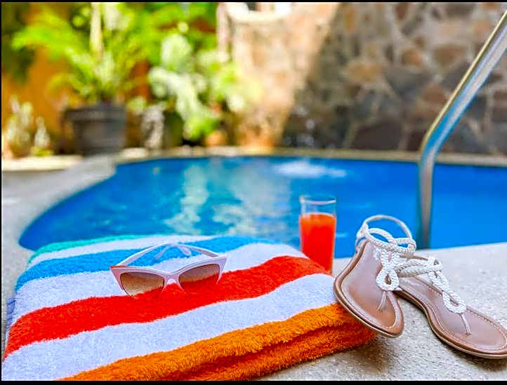 Hotel Artesanal Palomera