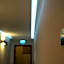 Daria Suite