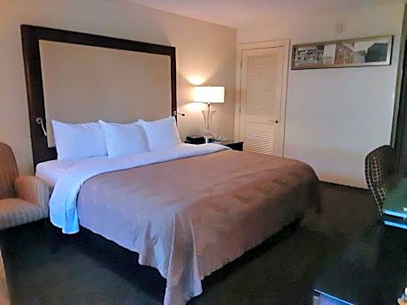 King Room - Accessible/Smoking