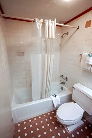 King Room with Spa Bath