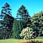 Brandshatch Place & Spa