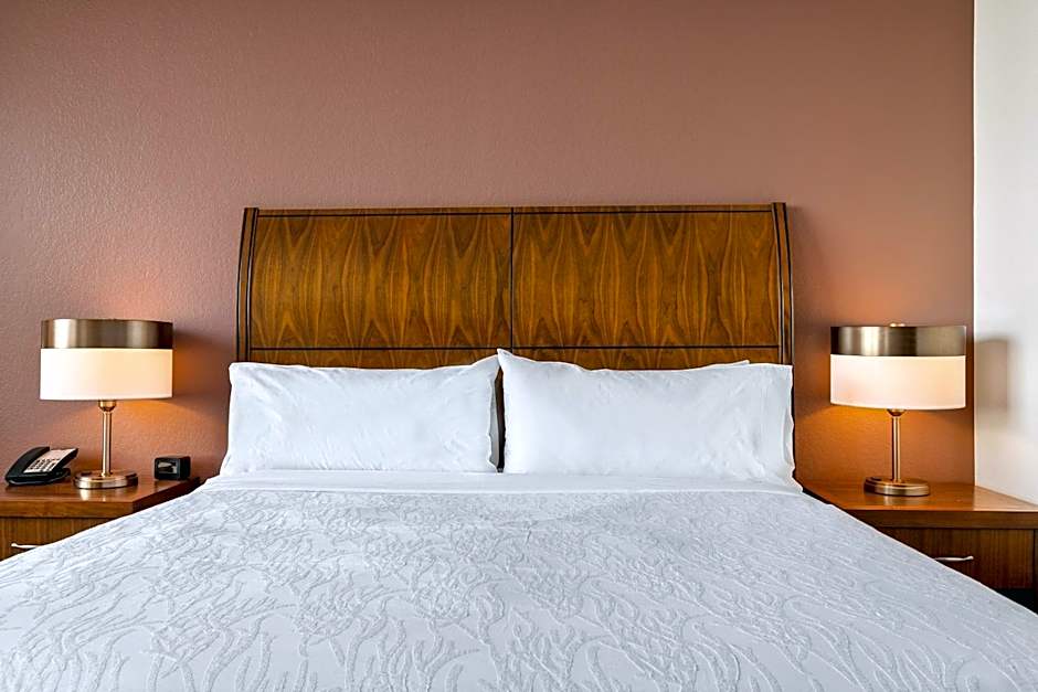 Hilton Garden Inn New Orleans French Quarter/Cbd