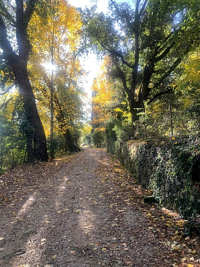 Borgo Montefreddo Toscana
